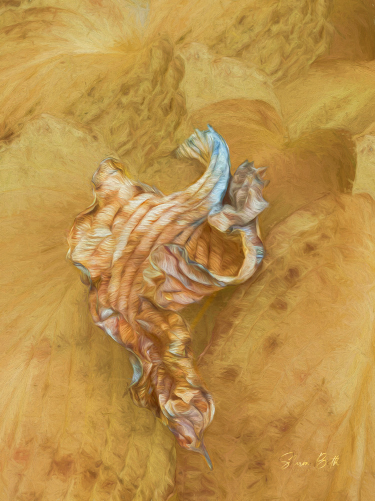 Sleeping Dragon Art | Sharon Beth 