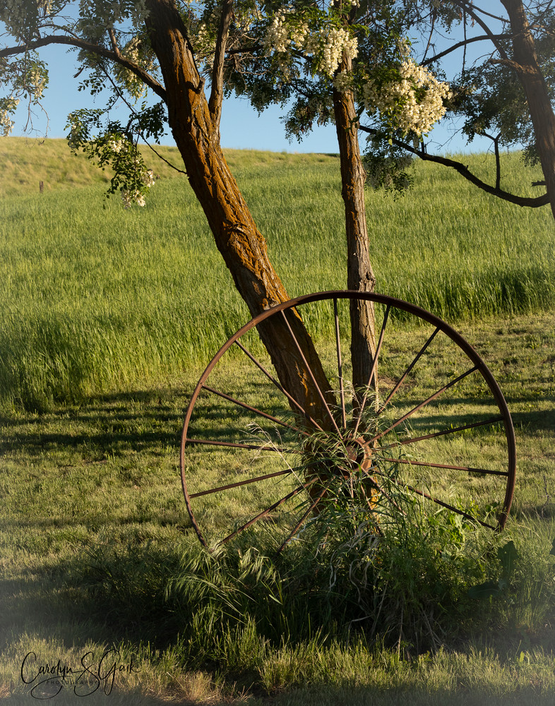 Big Wheel Keep On Turning Photography Art | Photo Art By Carolyn 