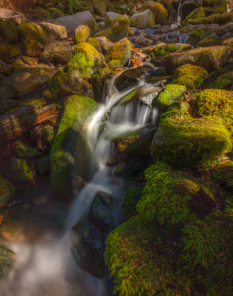 Forest Waterfall, Olympic NP | Landscape Photography | Tim Truby 