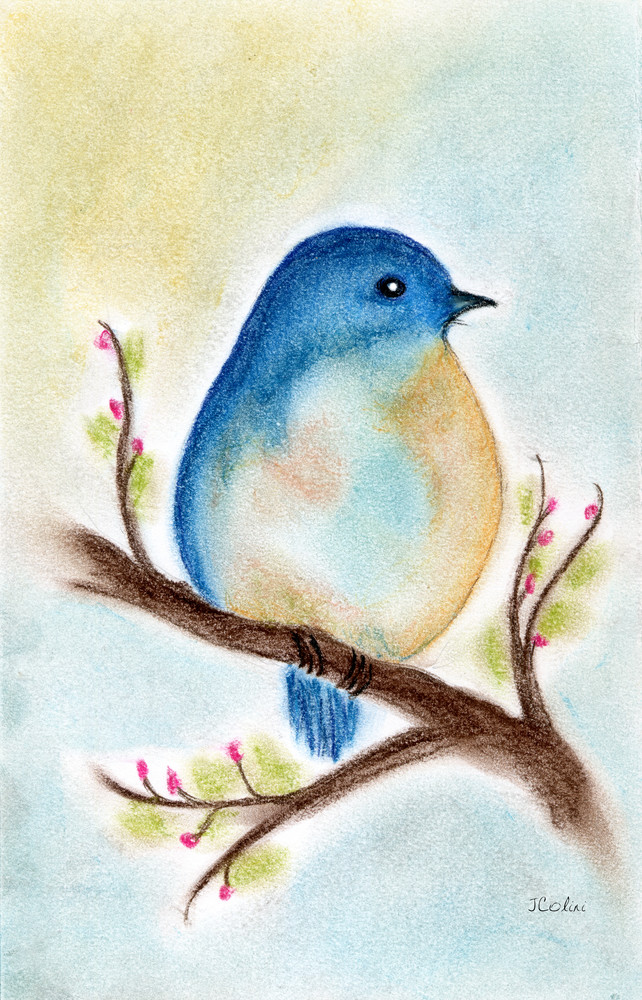 "Birds Of A Feather" Bluebird Art | Jeanine Colini Design Art