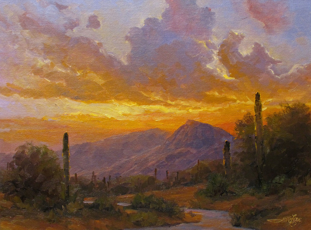 Sky Of The Sonoran Desert Art | Artisanjefflove