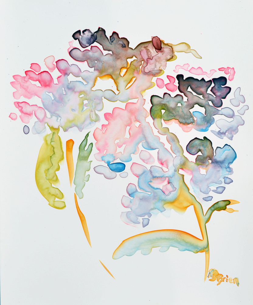 Hydrangea Shadow Art | Color Splash Ranch
