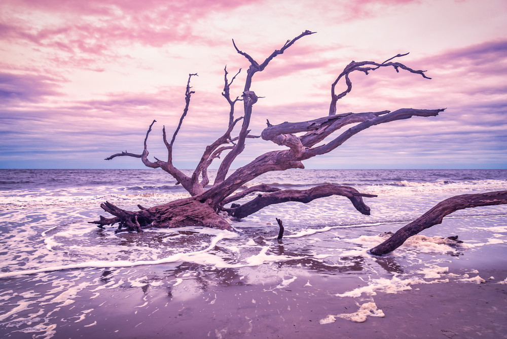 Jekyll Island Sunset | Susan J Photography