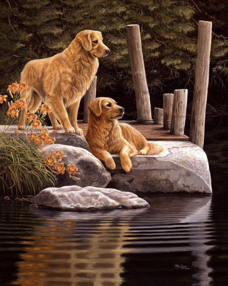 Golden hotsell retriever companions
