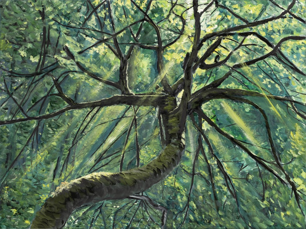 Crestwood Morning Art | Dave Fox Studios