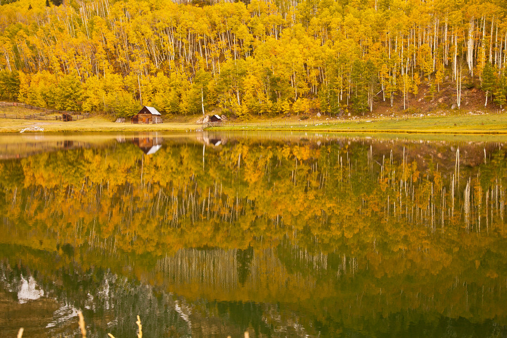Img 0909 Durango Ranch Reflection In Fall Photography Art | Williams Nature Photography