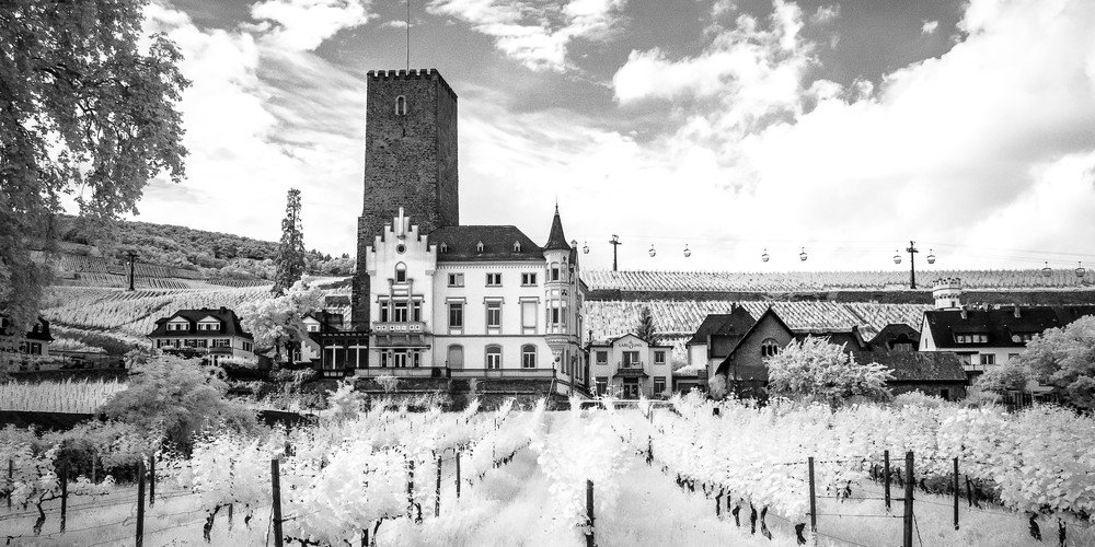 House Of Riesling, Germany Photography Art | World in Black and White