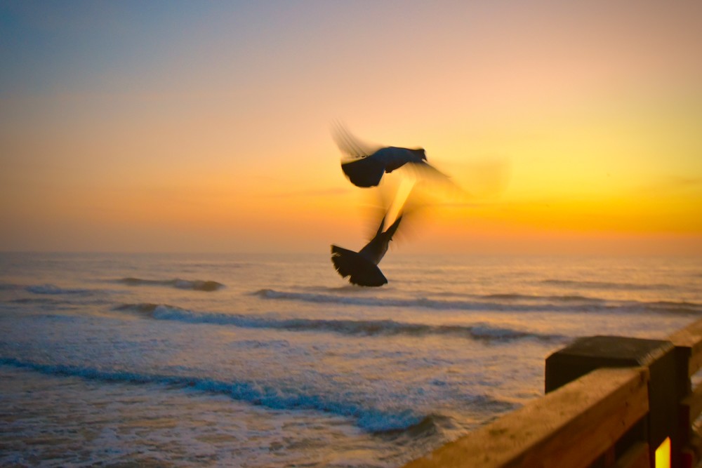 Lovely Photography Art | John Tesh Photography