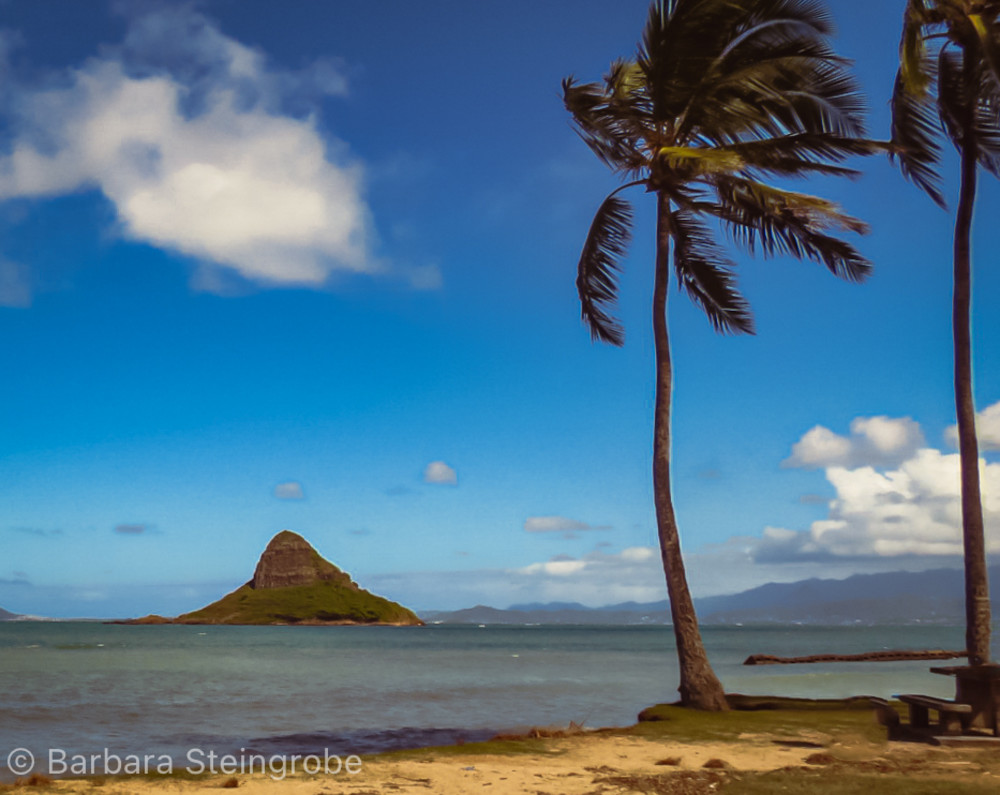 Coastal Hawaii _ Pointed Rock