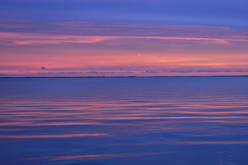 Dsc5125 A Photography Art | Set2Rize Images