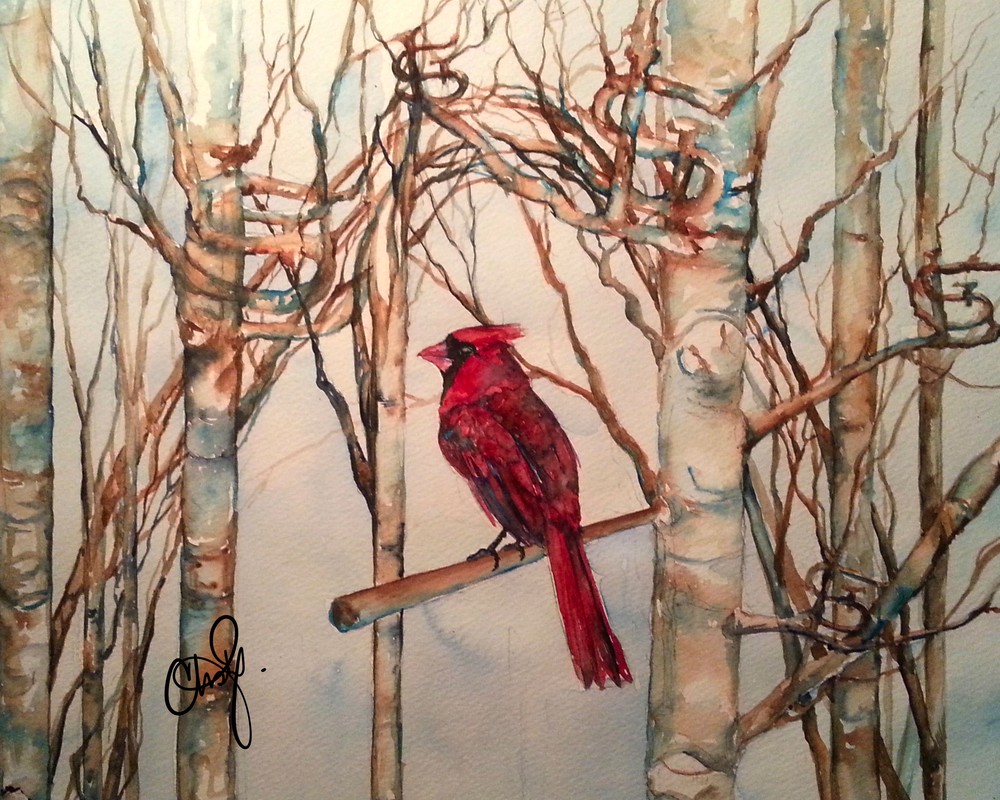 Stl Cardinals Baseball Art | Christy! Studios
