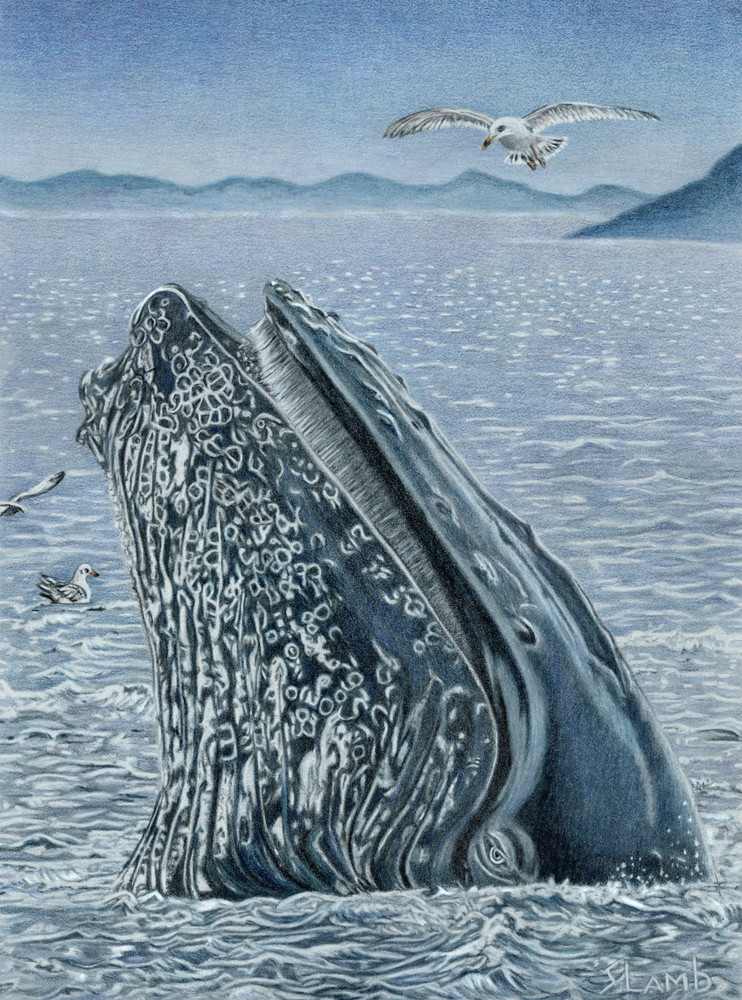 humpback, whale,ocean,art,blue,endangered