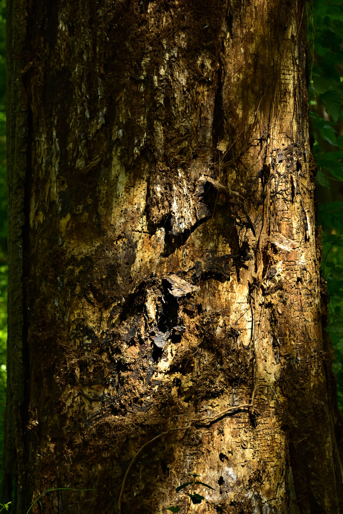 Dsc2915 A Photography Art | Set2Rize Images