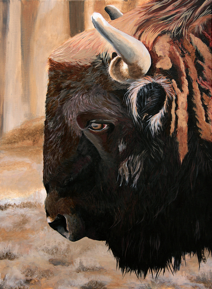 Head of the Herd-American Bison Portrait| Niki Baker | Fine Art Painter