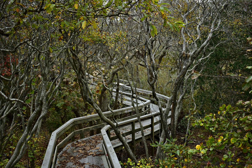 Dsc5108 A Photography Art | Set2Rize Images