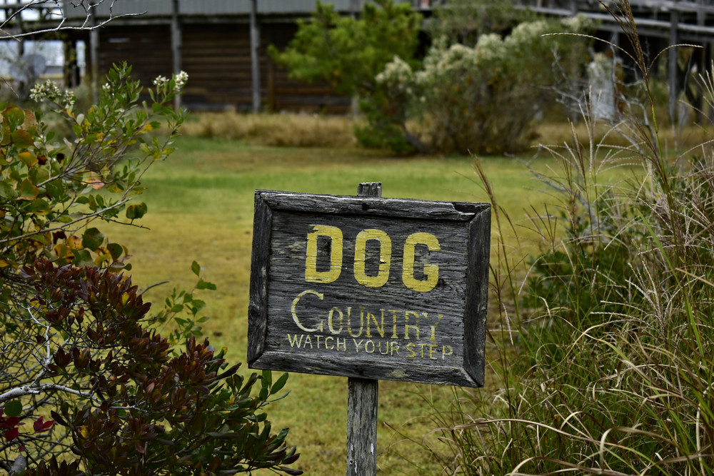 Dsc5079 A Photography Art | Set2Rize Images