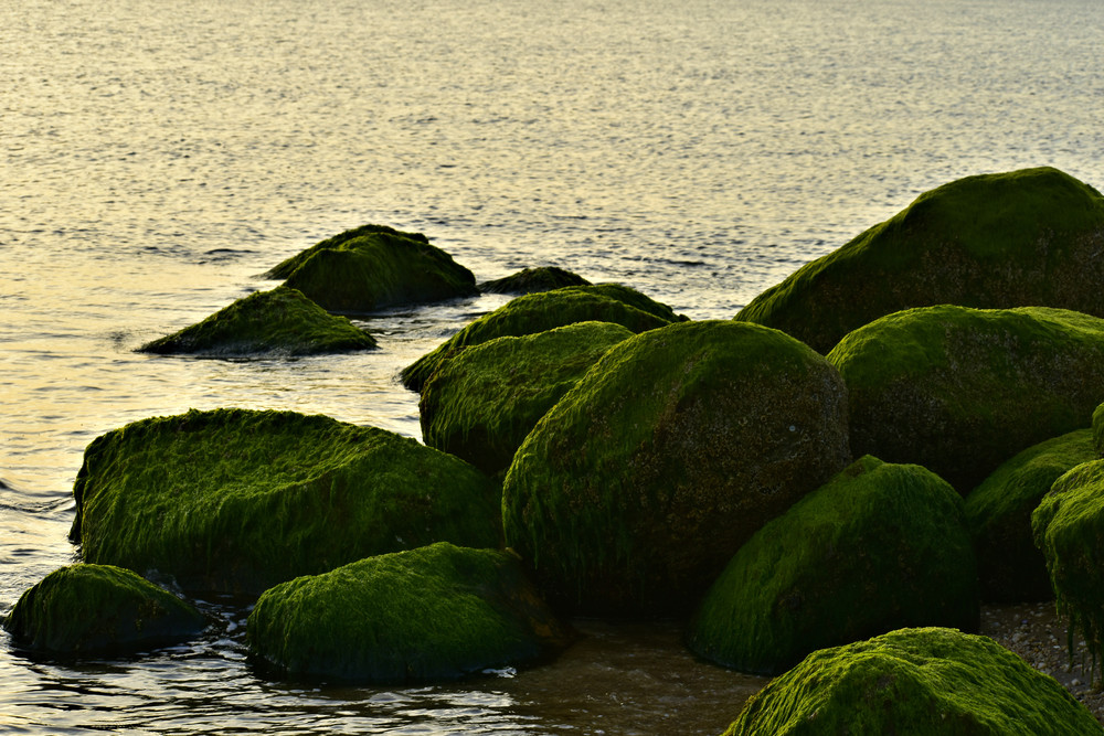 Dsc2677 A Photography Art | Set2Rize Images