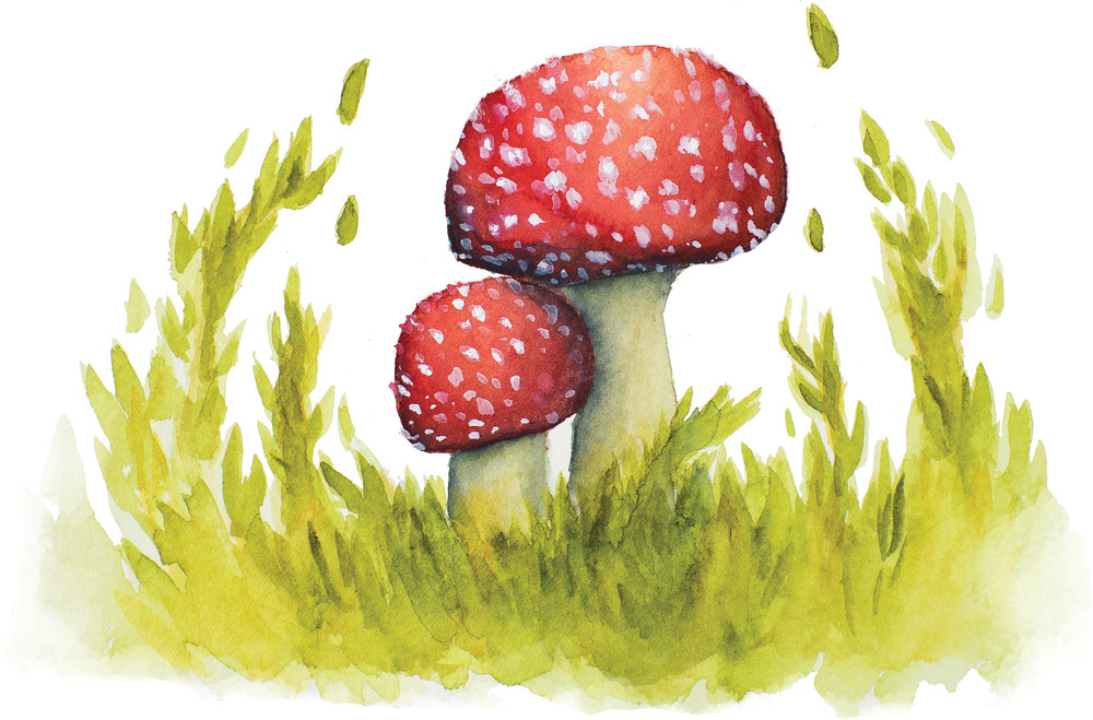 Enchanted Meadow Fly Agaric  Art | Cool Art House - online art gallery with hip emerging artists. Collect cool art you can view on your own wall before you invest!