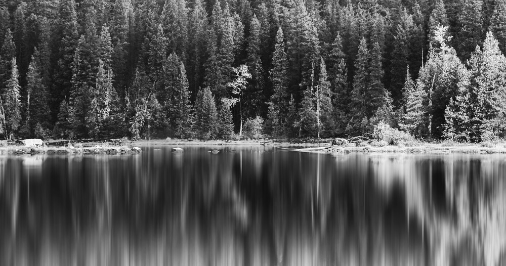 Lake Wenatchee Monochrome Reflections Photography Art | Austin Marvel