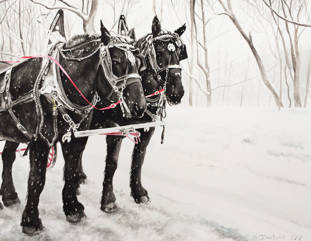 Rideau Hall Horse Team Art | Julie Berthelot