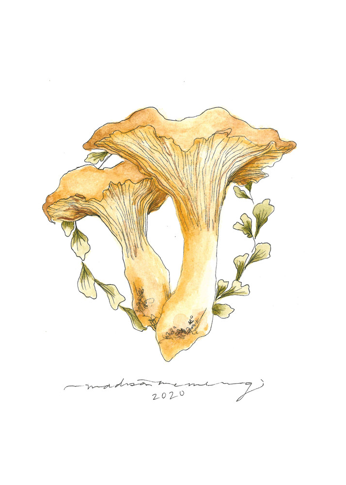 Chanterelle Mushroom  Art | Cool Art House - online art gallery with hip emerging artists. Collect cool art you can view on your own wall before you invest!