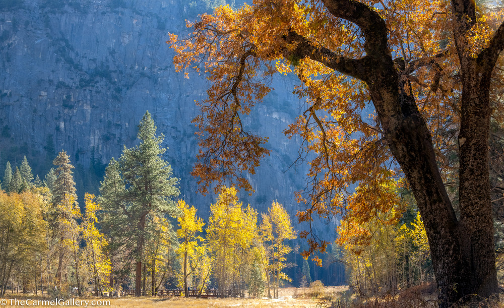 Yosemite Autumn Art | The Carmel Gallery