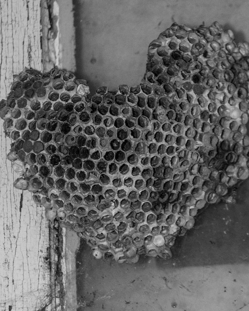 Honey Comb Heart Art | Thriving Creatively Productions