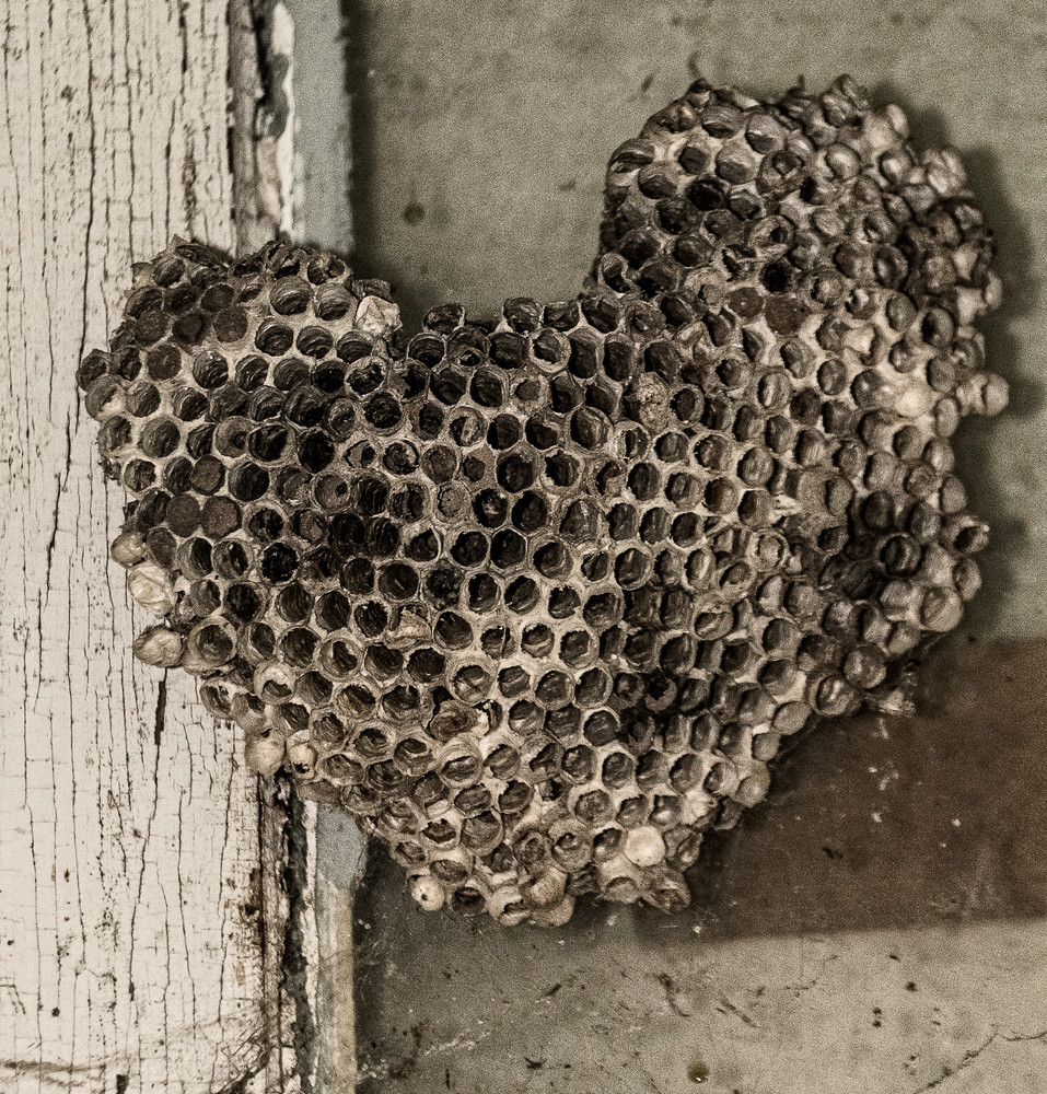 Sepia Honey Comb Heart Art | Thriving Creatively Productions
