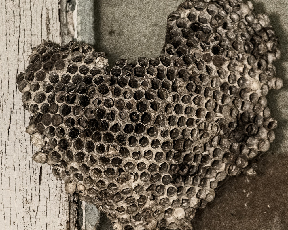 Sepia Heart Of Holes Art | Thriving Creatively Productions