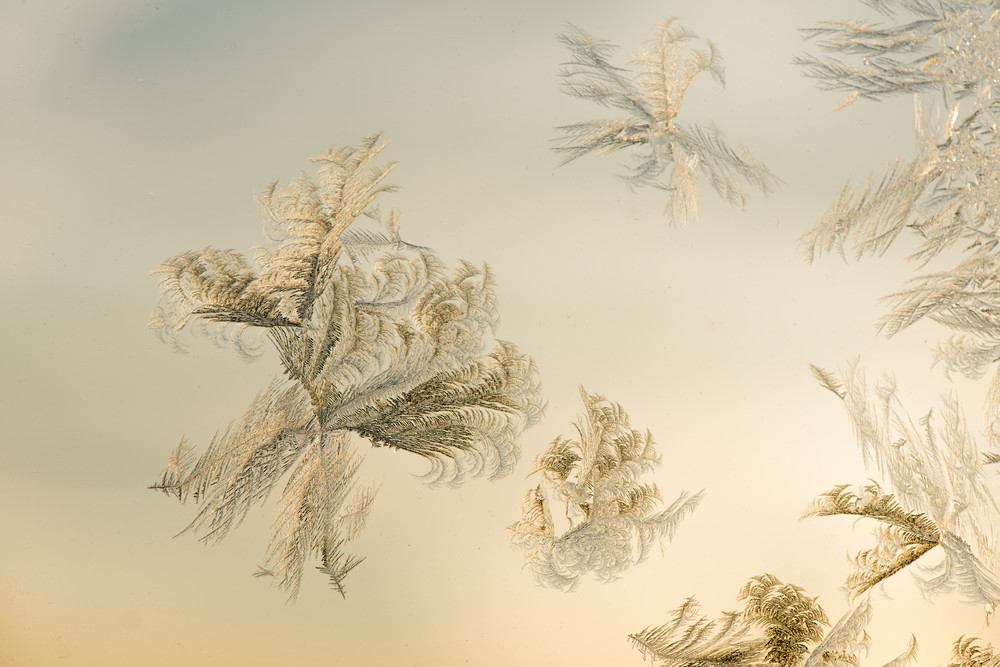 Pastel Feather Frost Photography Art | jimdavis