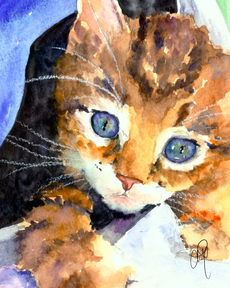 Blue Eyed Kitten Art | Christy! Studios