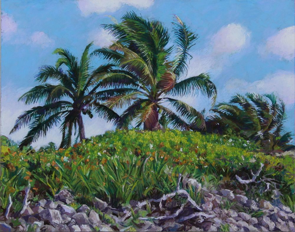 3 Palms, Akumal, Mexico Art | Waif Mullins Art