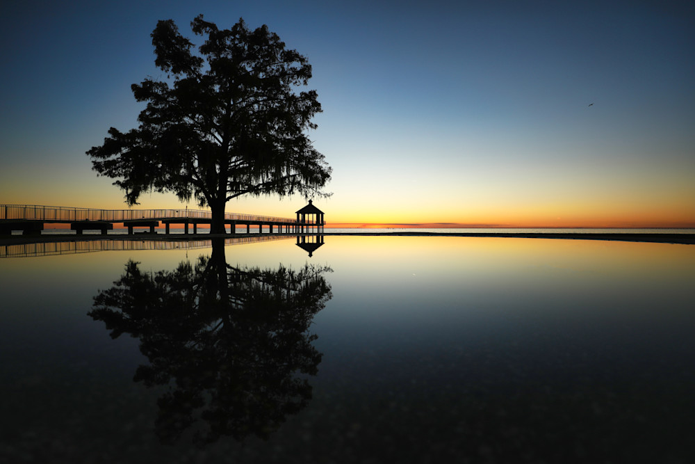 Full Circle Photography Art | Stinky Mud Photography