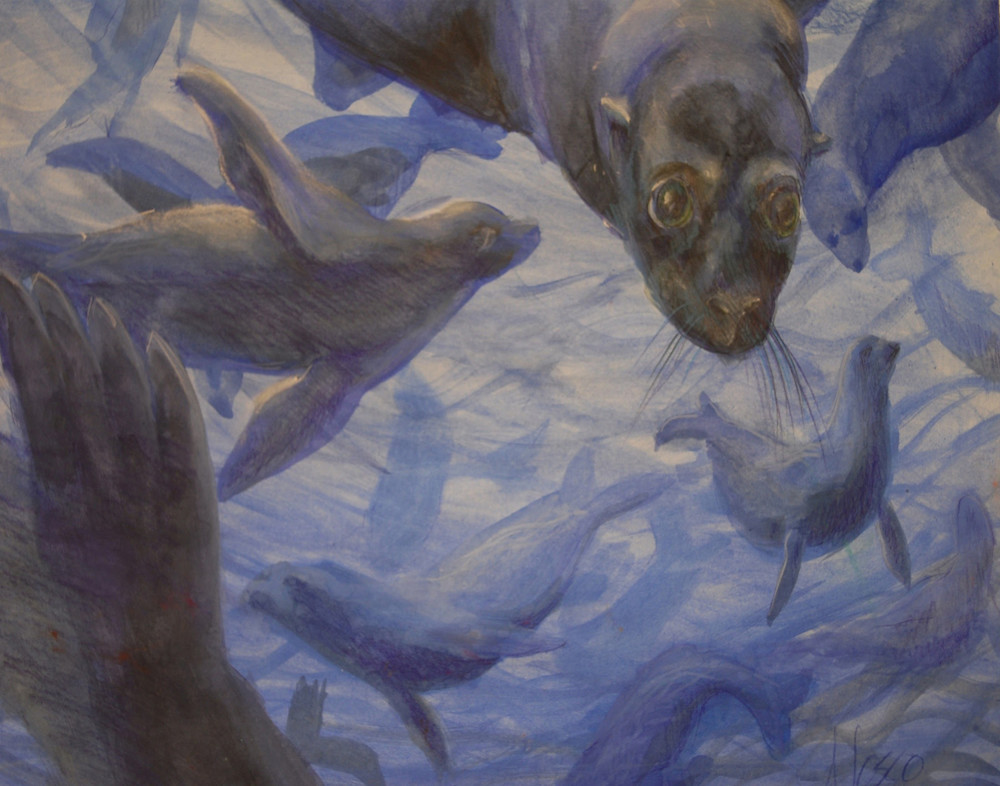 Seals With A Kiss Art | Nosco Fine Art