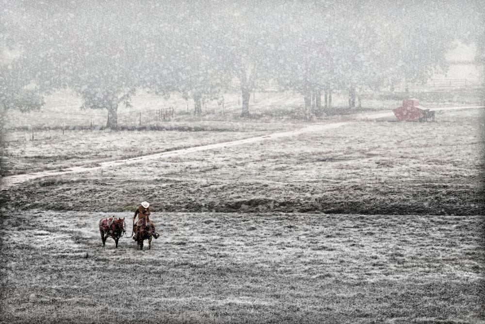 Cowboy & Horse Coming Home In Snowfall in Texas