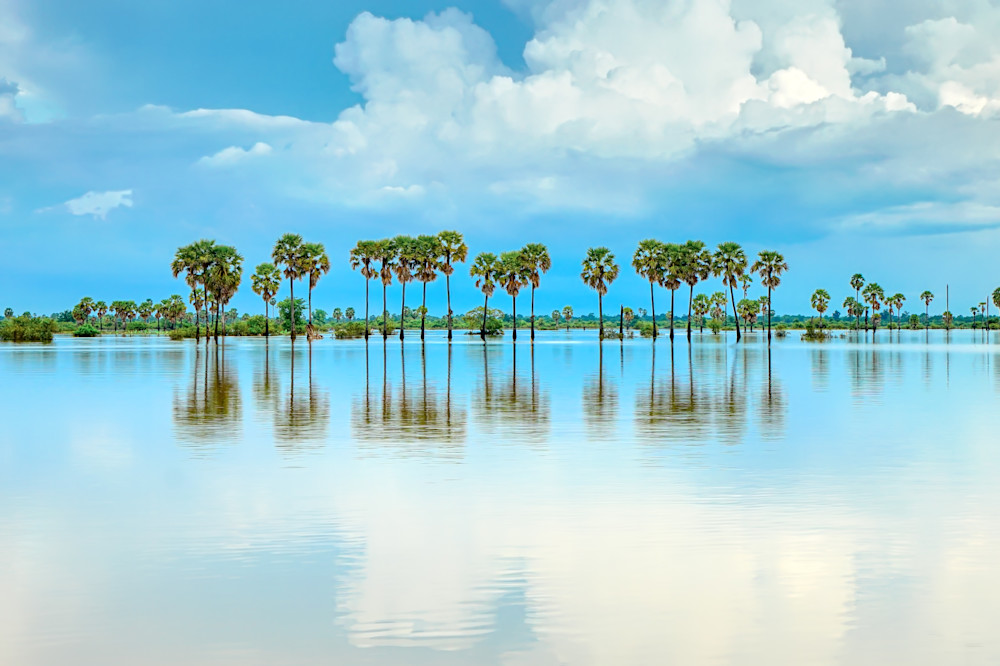 Reflection After Rain