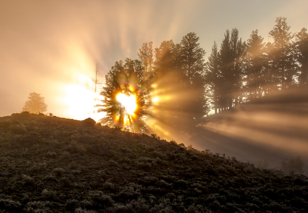 Light Life Photography Art | Colorado Born Images Light Life Photography Art | Colorado Born Images
