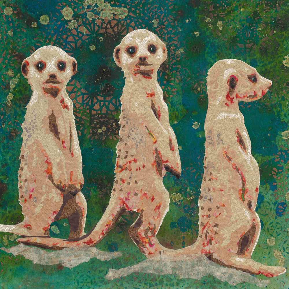 Meerkats