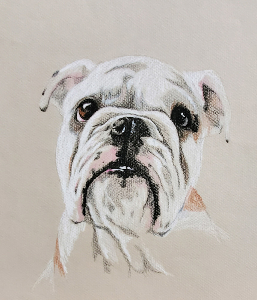 Bulldog Portrait   Logan Art | Fulfillment