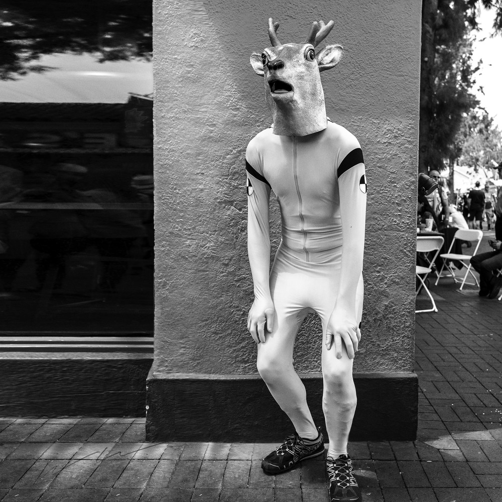 Deer In The Headlights Photography Art | Harry John Kerker Photo Artist