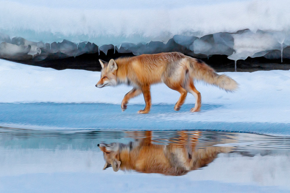 Winter Reflection | Terrill Bodner Photographic Art