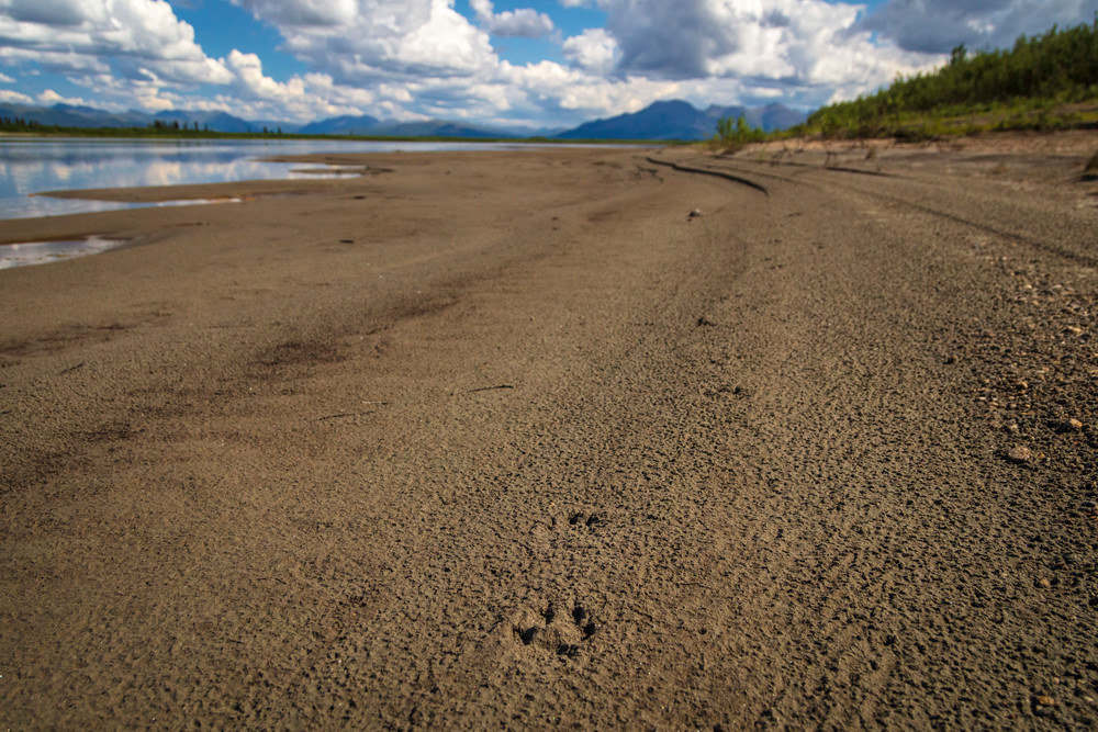 0 Y4 A7154 Photography Art | Captured Adventure Photography