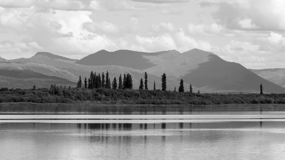 S00 A9960 Photography Art | Captured Adventure Photography