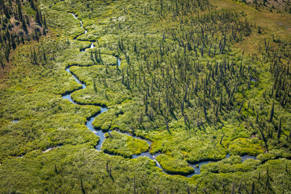 0 Y4 A7050 Photography Art | Captured Adventure Photography