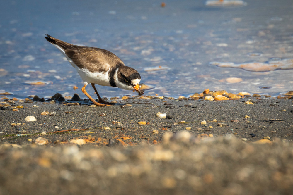 S00 A0052 Photography Art | Captured Adventure Photography