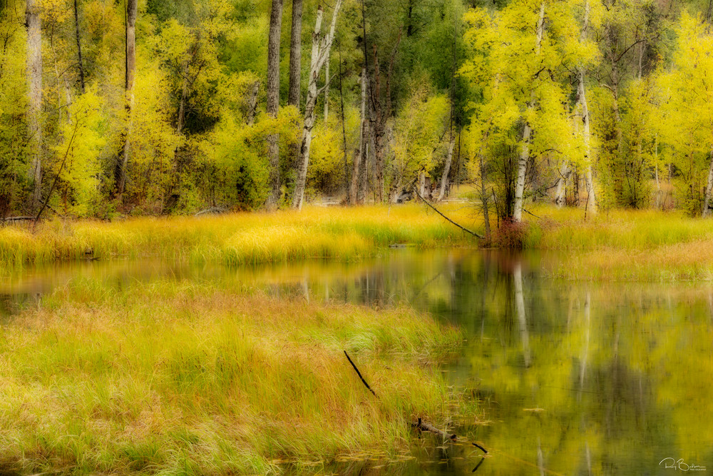 Fall colors at pond in Alaska