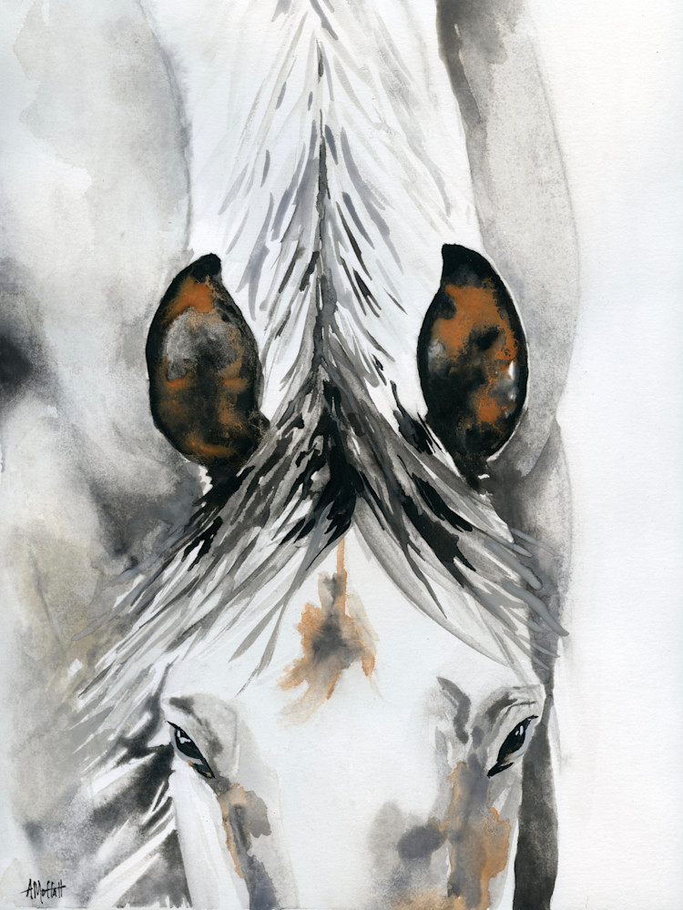 Giclee Print "White Horse Head Down" portrait by April Moffatt