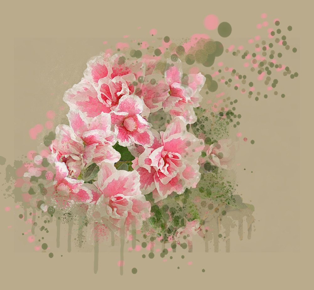 Pink Azaleas Art | Art from the Soul