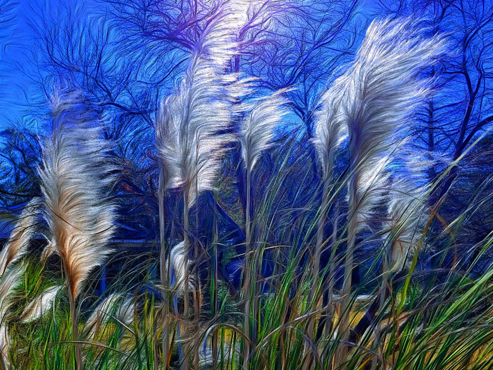 1 Fluff In The Wind Art | Photos by Dale