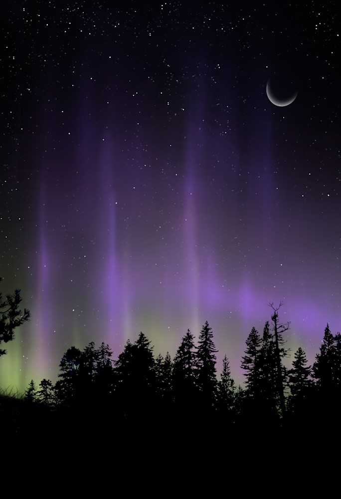 Aurora Through The Trees Art | Art from the Soul